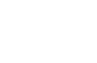 edge-logo-decennale-bianco-mini